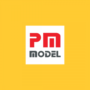 P M Model